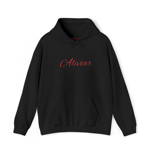 Embroidered Hoodie