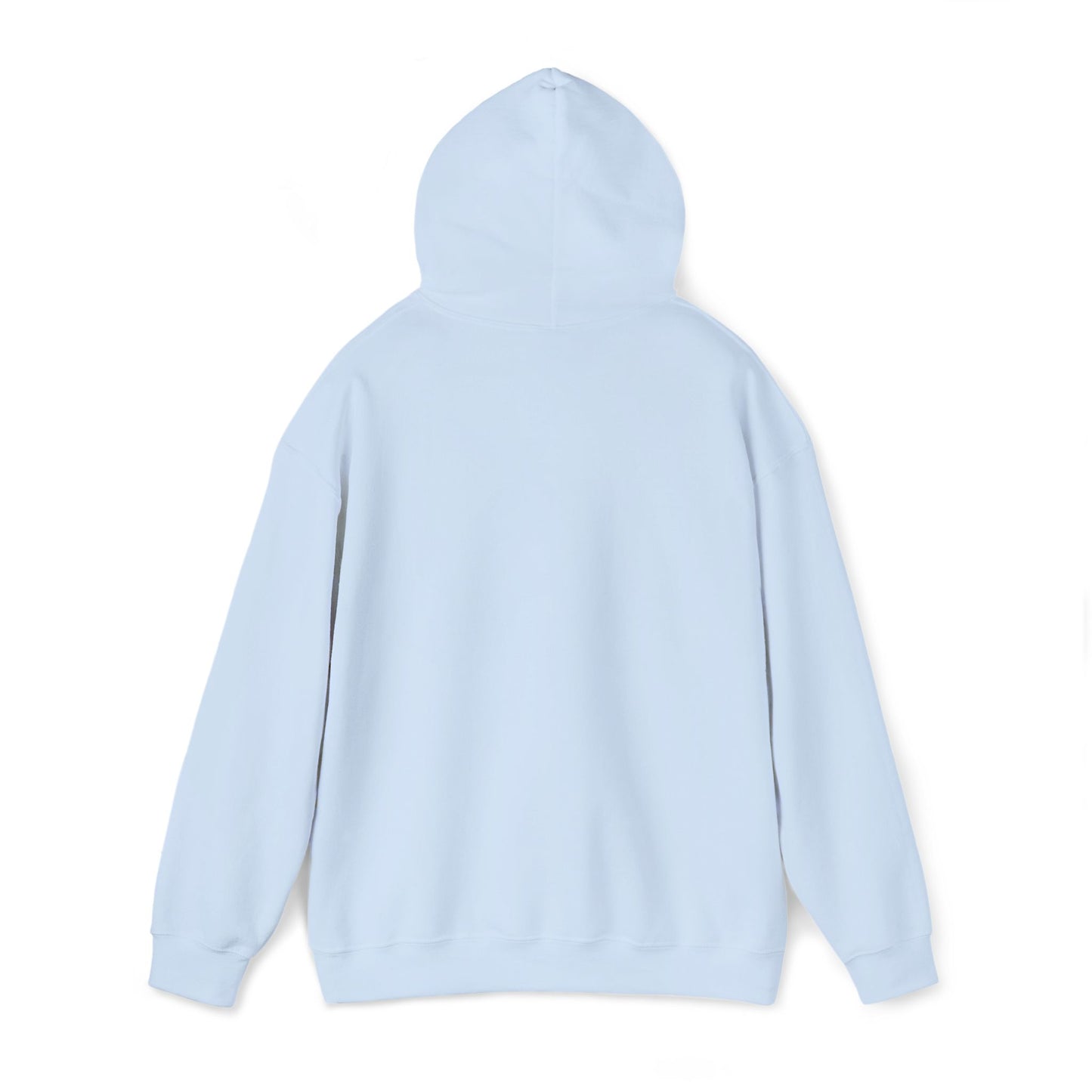 Embroidered Cozy Hoodie